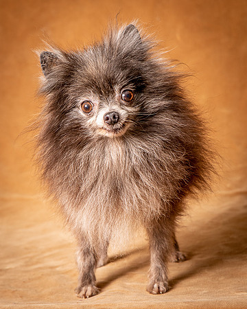 Foster Loretta-1251