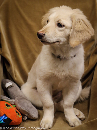 Foster Stephanie-0421