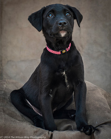 Foster Gumby-2388