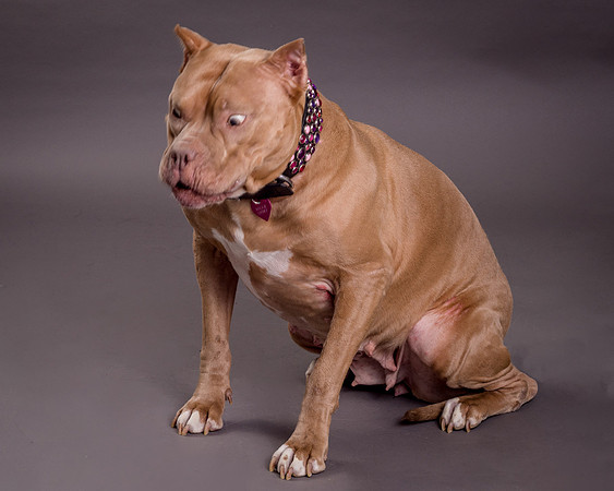 Maggie Griner-7575