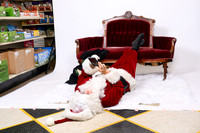 Santa resting the dogs-2281