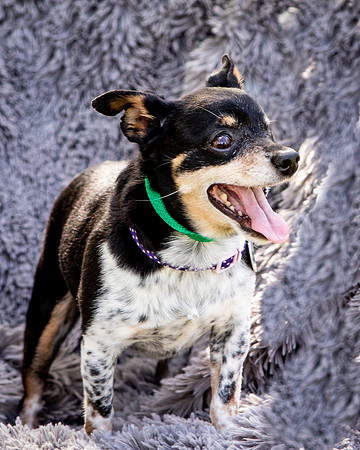 Foster Leela-7964