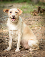 Foster June-8652