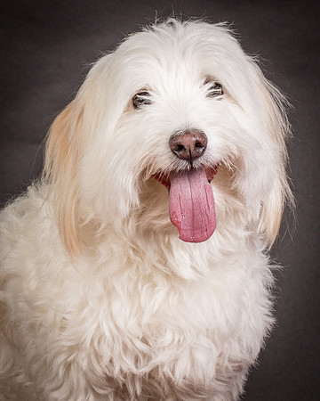 Foster Frosty-0582