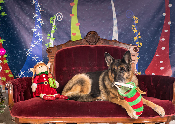 Wilson-3401