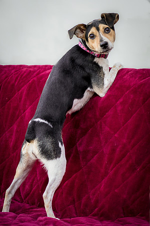 Foster Buffy-5531