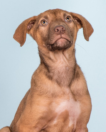 Foster Bronwyn-8364