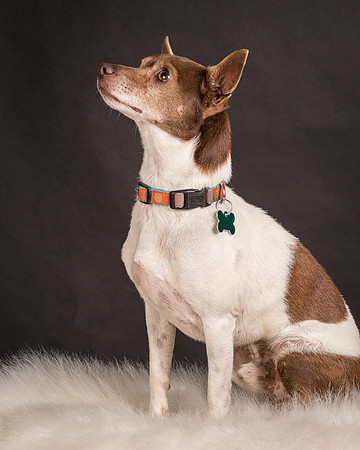 Foster Gus-0304