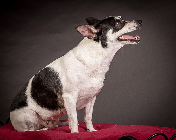 Foster Richa-0595