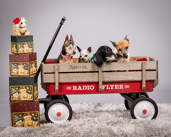 Foster Hospice Gang-3805