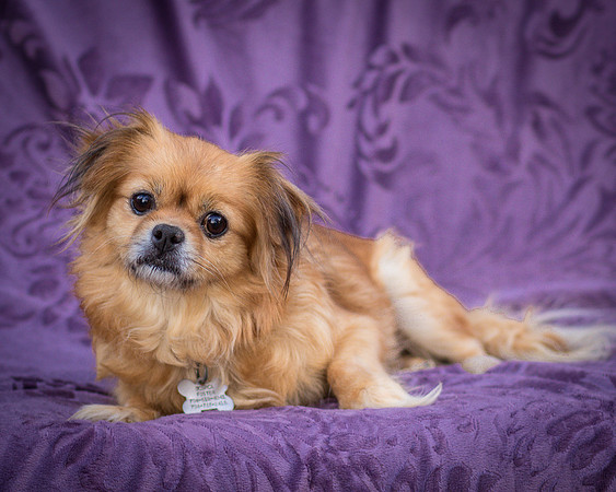 Foster Tia Maria-7831