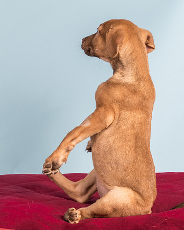Foster Bronwyn-8374