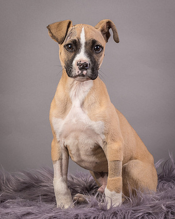 Foster Barnabas-4498