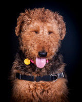 Dixie Lou-5639