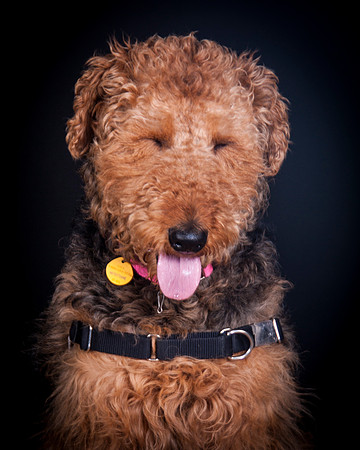 Dixie Lou-5639