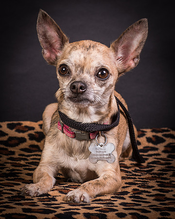 Foster Selina-1206