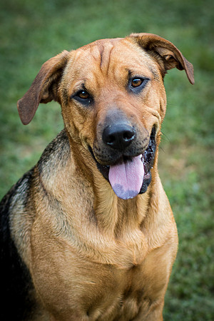 Foster Maya-0408