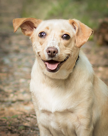 Foster June-8644