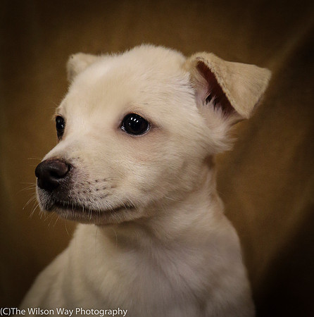 Foster Signey-0325