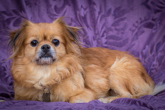 Foster Tia Maria-7881