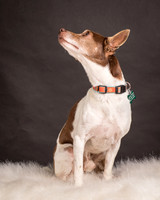 Foster Gus-0298