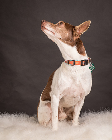 Foster Gus-0298
