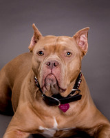 Maggie Griner-7531