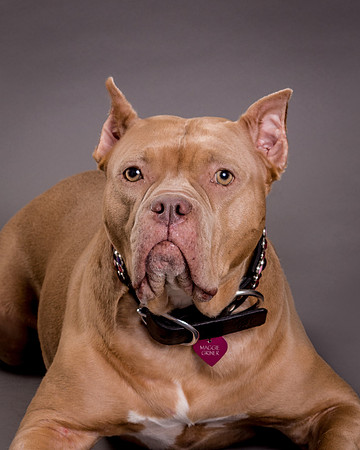 Maggie Griner-7531