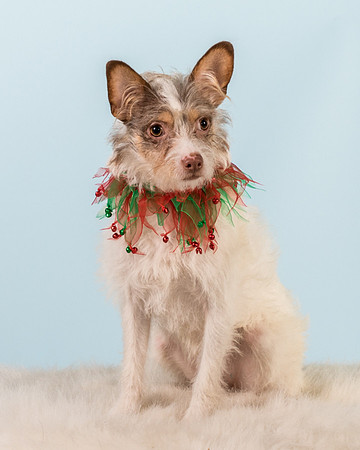 Foster Reagan-4938
