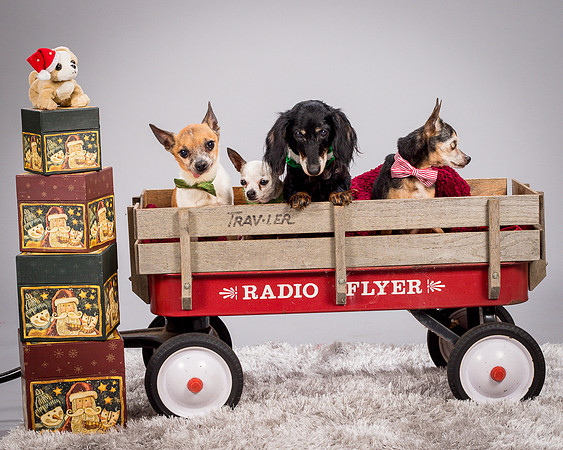 Foster Hospice Gang-3915