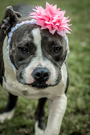 Foster Maya-0356