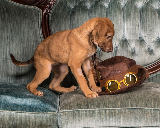 Foster Bronwyn-8268