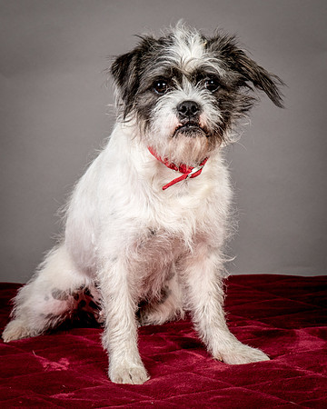 Foster Leeza-2706