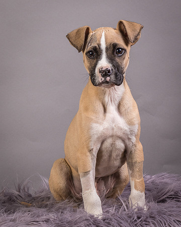 Foster Barnabas-4478