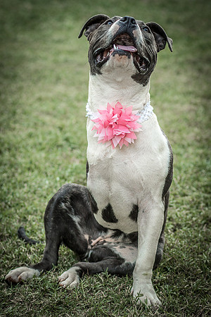 Foster Maya-0338