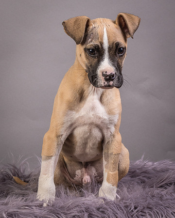 Foster Barnabas-4474