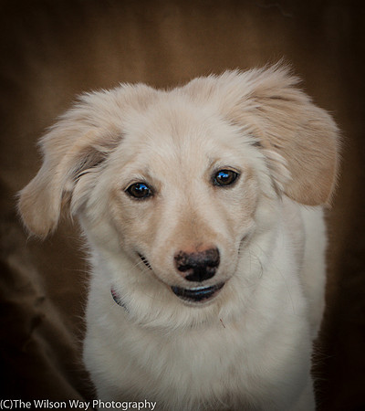 Foster Stephanie-9605