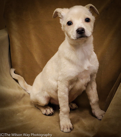 Foster Signey-0343