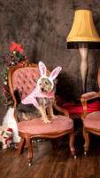 Robinson-0115