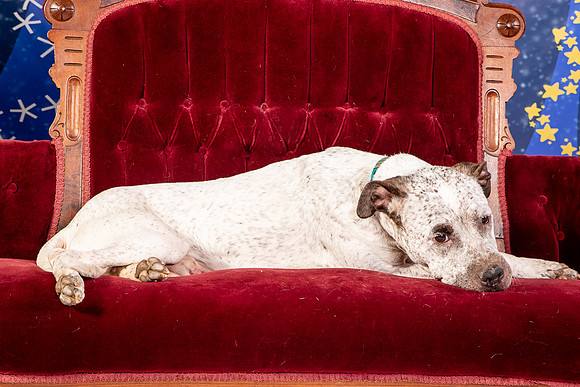 Foster Sylvester-0980