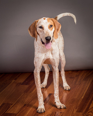 Foster Memphis-3134
