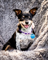 Foster Leela-7980