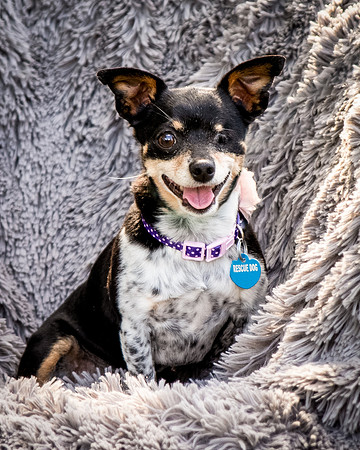 Foster Leela-7980