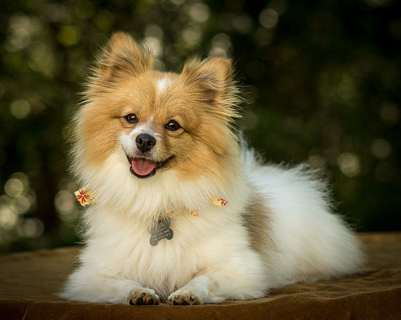 Foster Sydney-7641