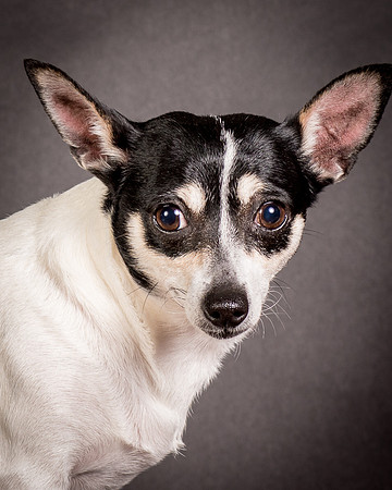 Foster Richa-0484