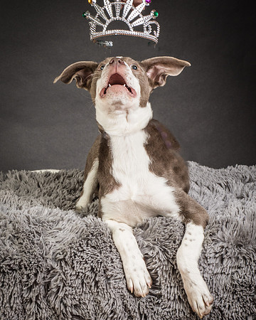 Foster Ari-8554