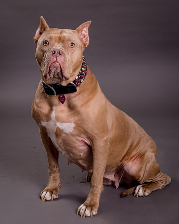 Maggie Griner-7571