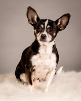 Foster Justice-4584