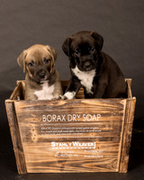 Fosters Pebbles and Gazoo-1714