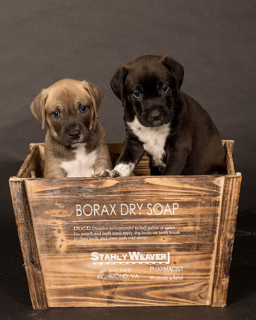 Fosters Pebbles and Gazoo-1714